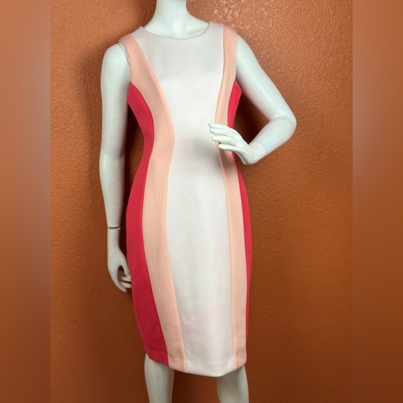 Calvin Klein Elegant Colorblock Sleeveless Sheath Dress Size 10 E54 - Picture 1 of 16